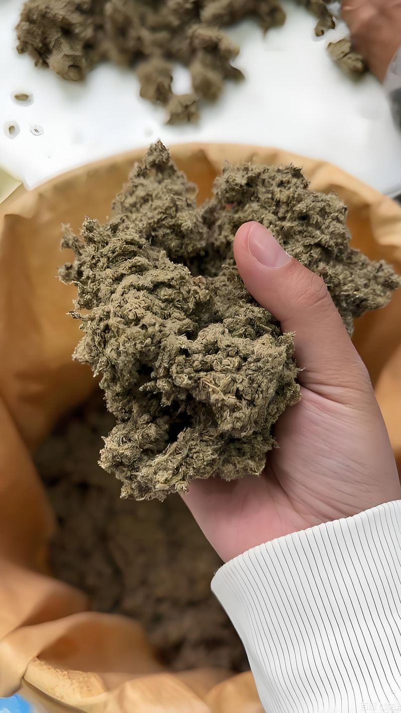 中药制品